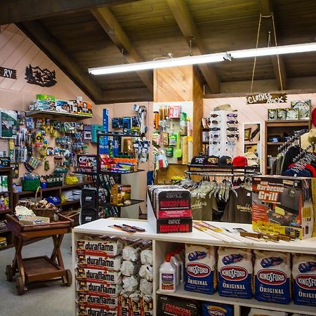 Idyllwild Camping Resort Cabin エクステリア 写真